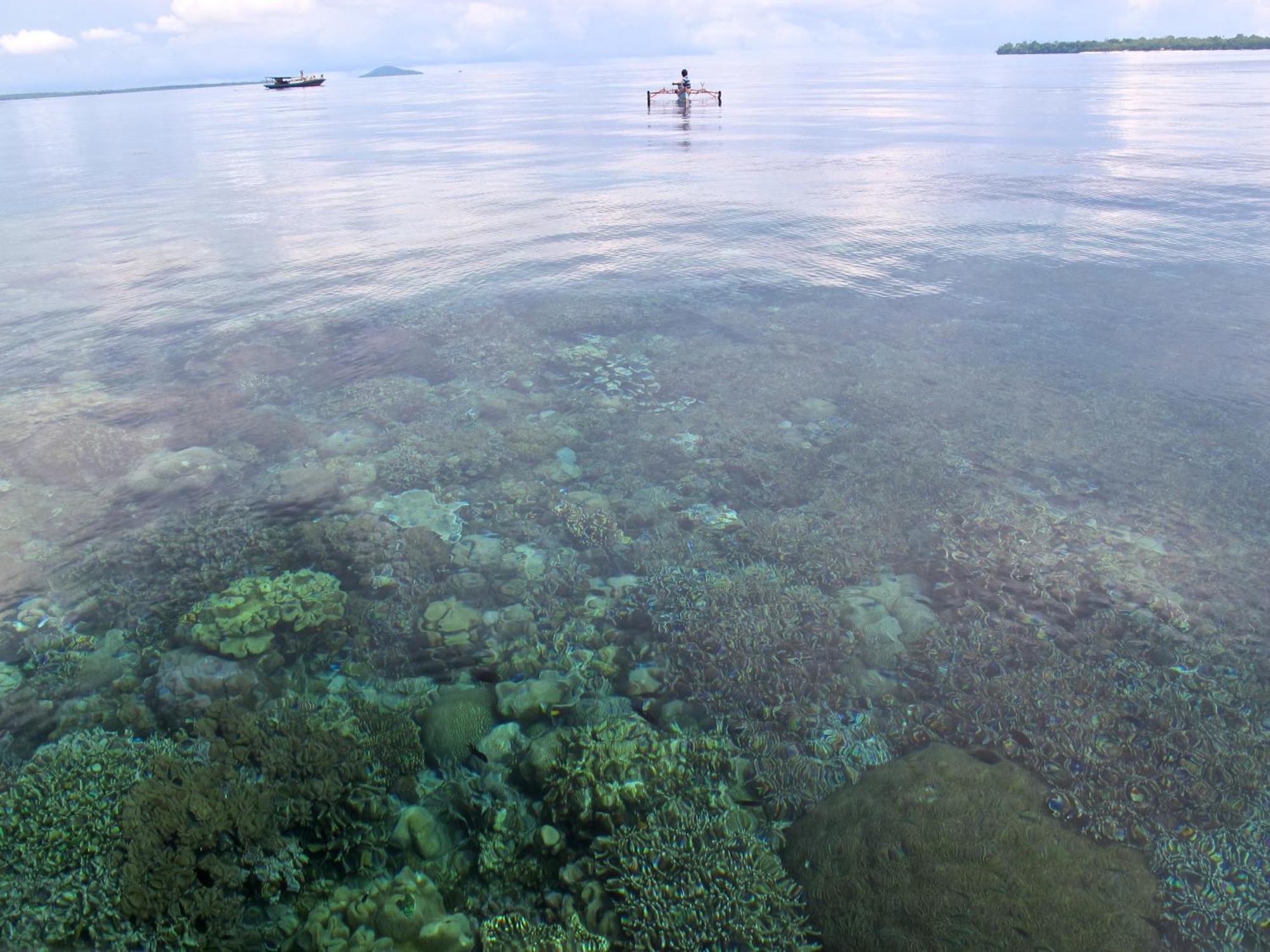 Bunaken Cha Cha Nature Resort Екстериор снимка